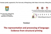 The representation and processing of language:  Evidence from structural priming